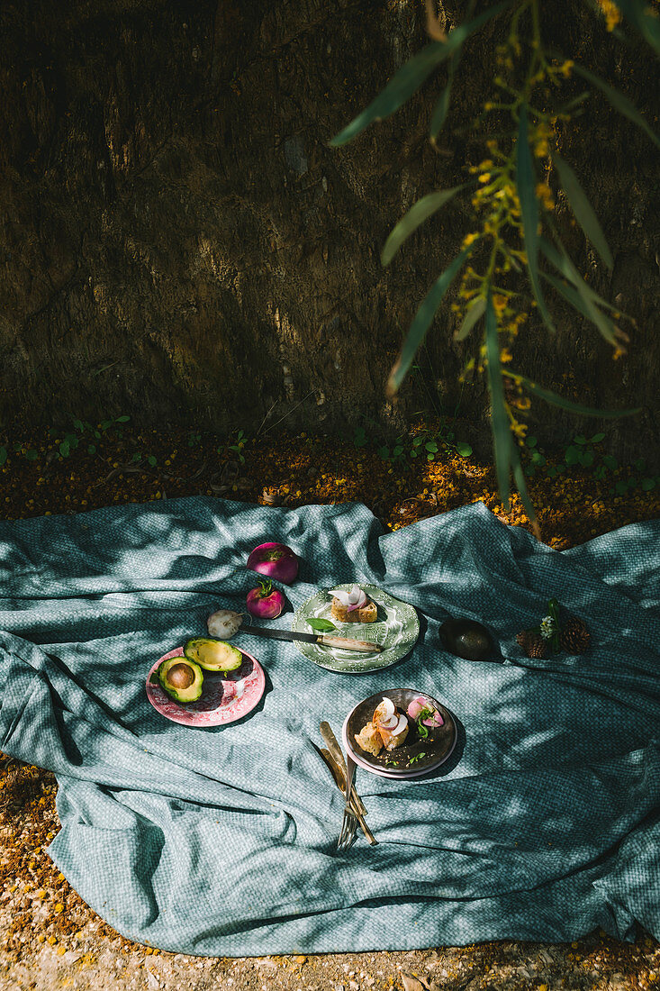 A picnic under a tree, with a picnic cloth on the ground with plates, avocado, bread