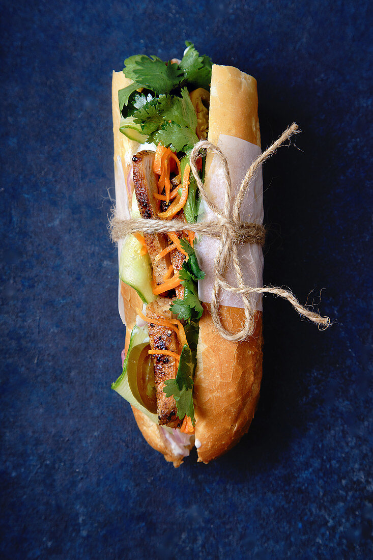 Classical banh-mi sandwich with grilled pork tenderloin, carrots and cucumbers, jalapeno peppers and cilantro