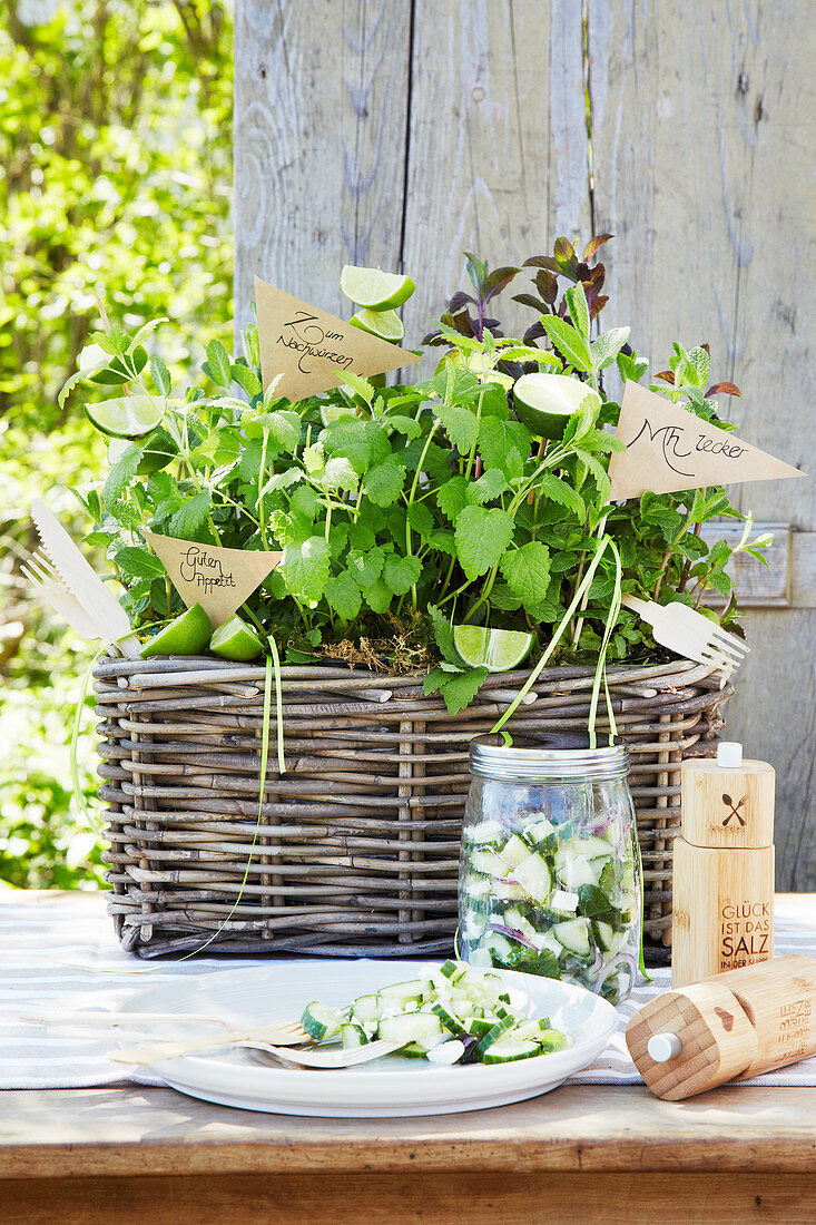 Sommerlicher Gurkensalat auf Gartentisch