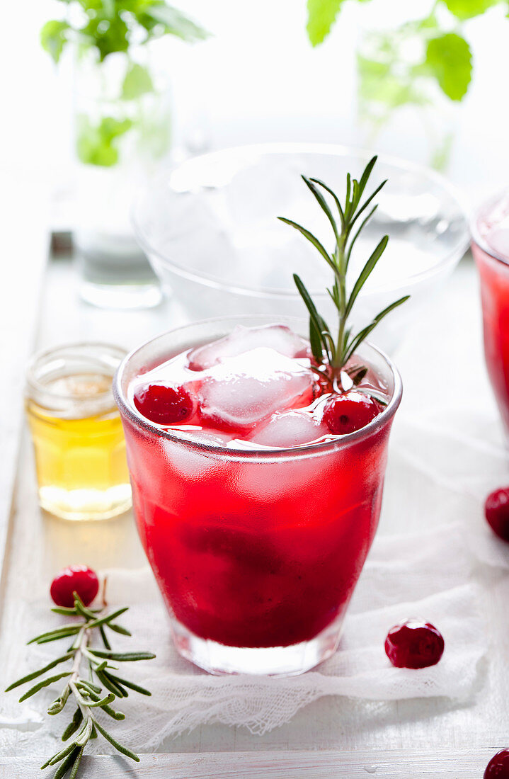 Cranberry, rosemary, gin fizz, cocktail