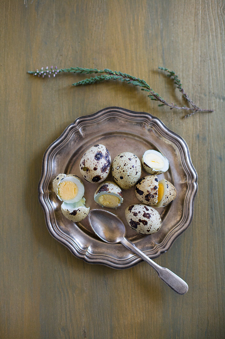 Boiled quail eggs and spoon on silver tray
