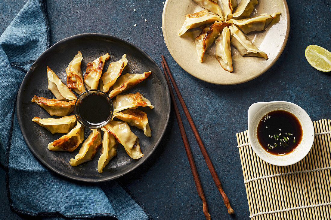 Fried gyoza dumplings with duck served with soy sauce ans sesame seeds