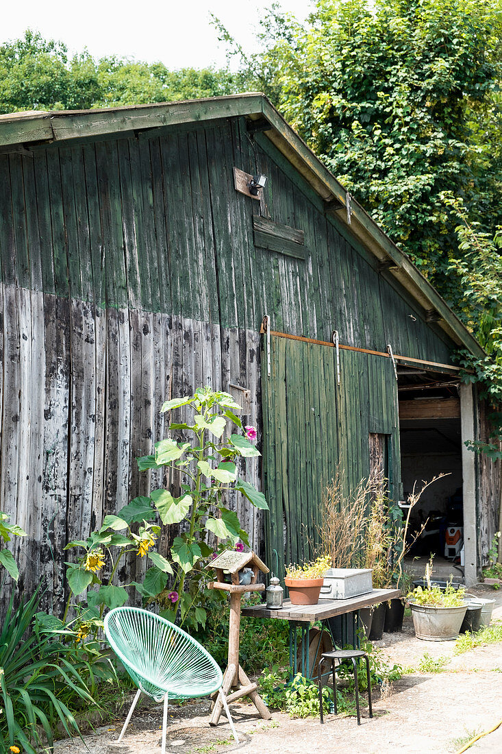 Alte Scheune mit grünem Gartenstuhl, Vogelhaus und Sonnenblumen