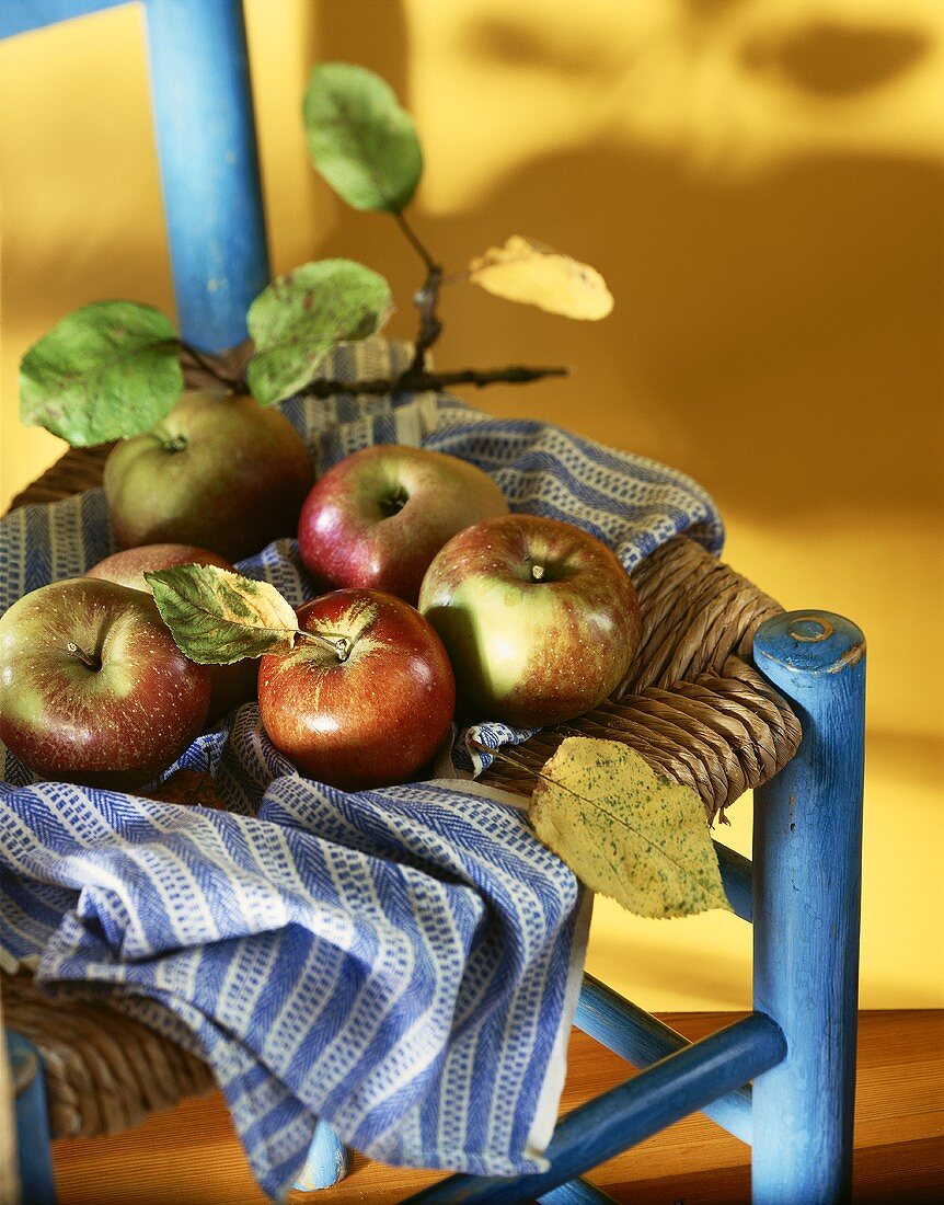 Assorted Apples Resting on a Cloth; On a Chair