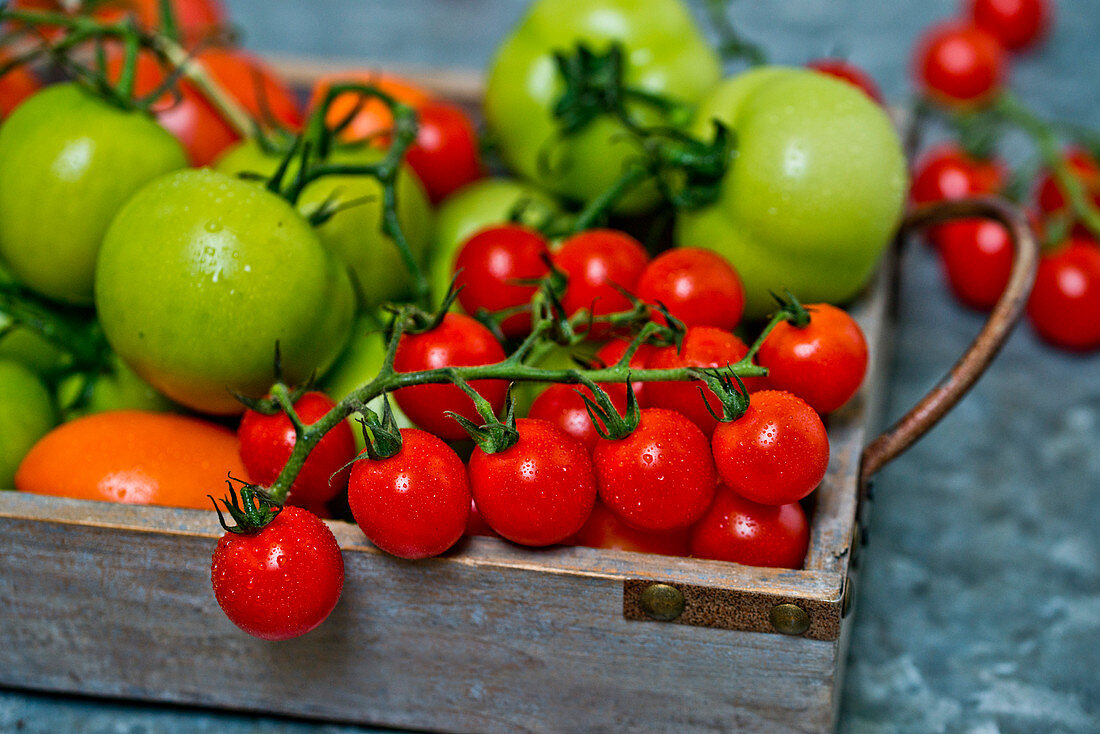 Frische bunte Tomaten in Holzkiste