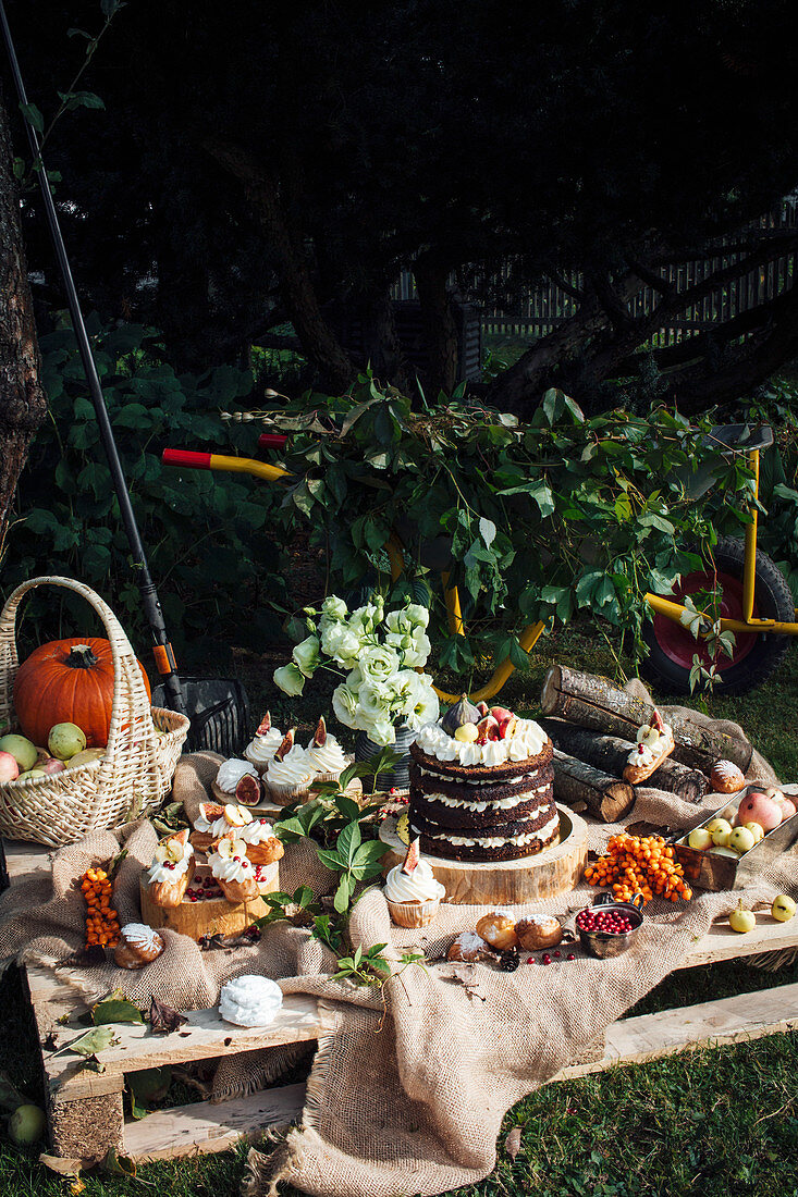 Autumn picnic with cupcakes and a cake