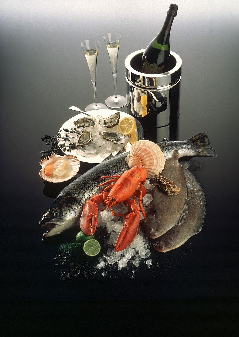 Still life: raw fish, lobster,  scallops, oysters, champagne
