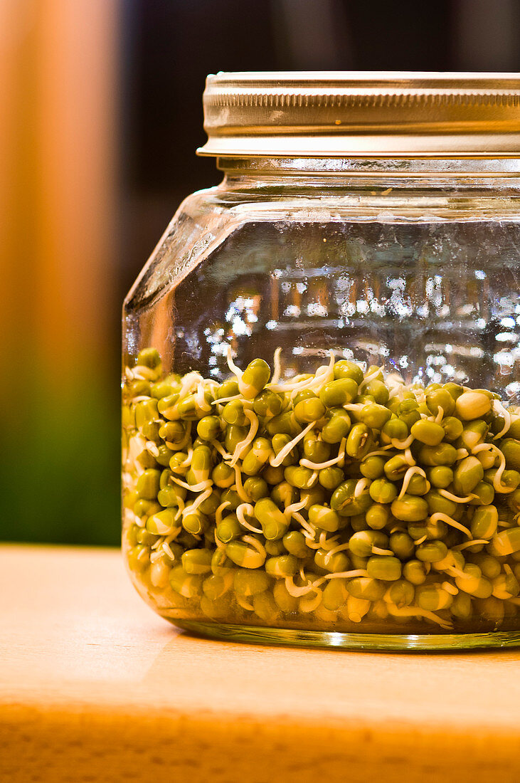 A jar of mung bean shoots