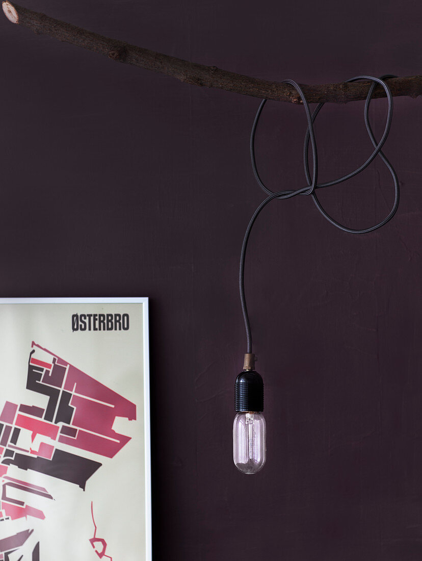 Pendant lamp wrapped around branch against purple wall