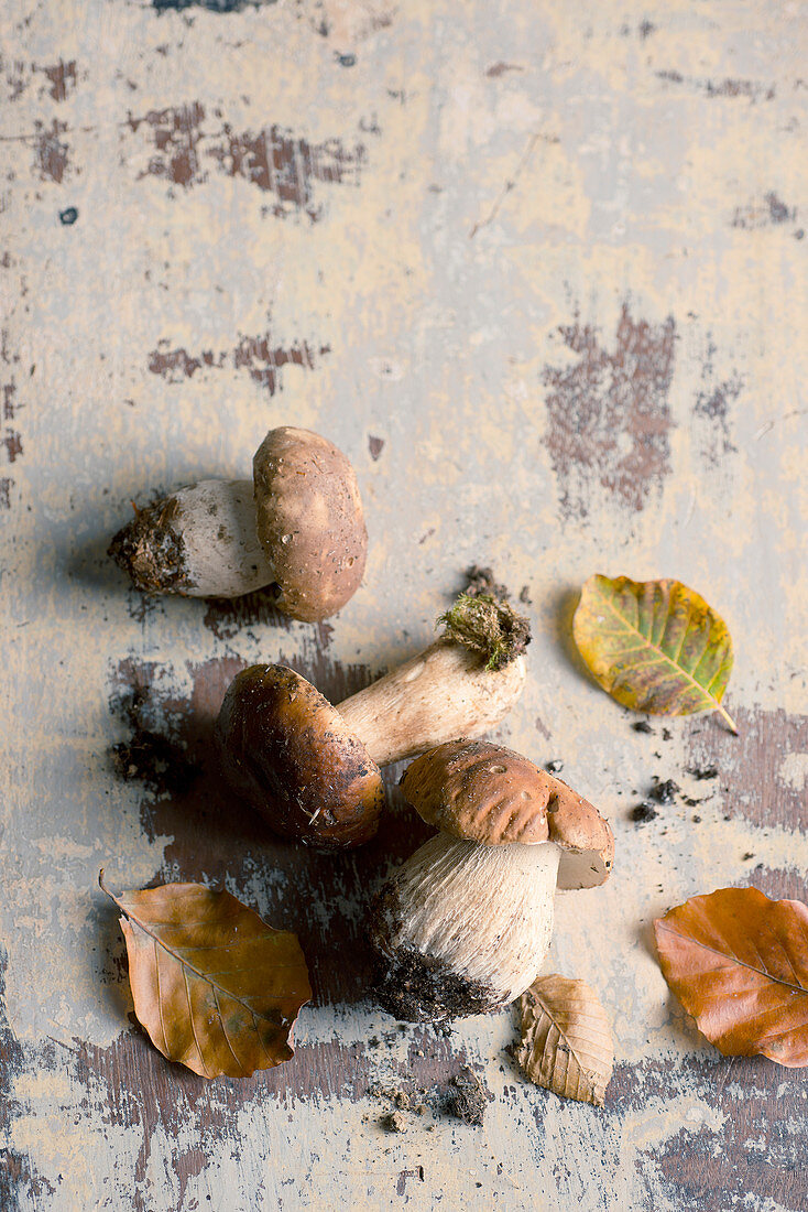 Stillleben mit Steinpilzen und Herbstlaub