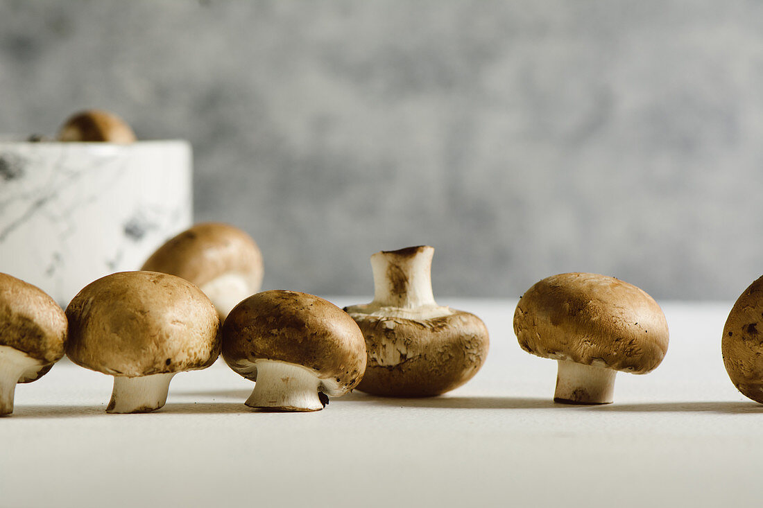 Fresh raw mushrooms, in white background, portobello variety