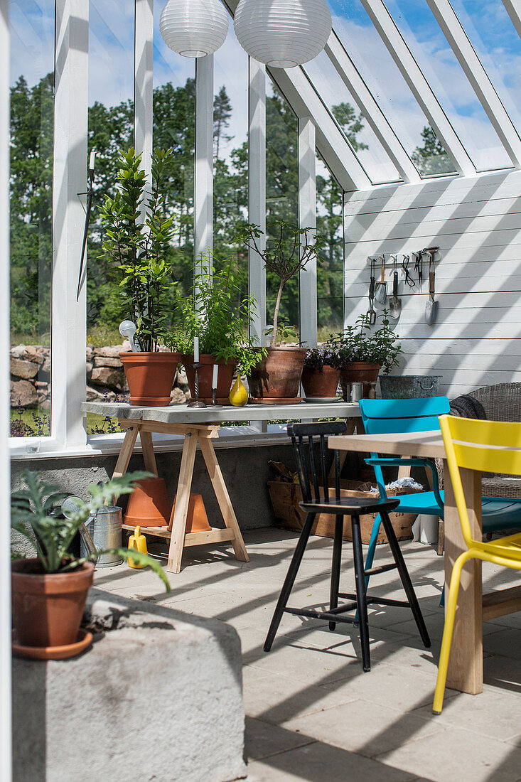 Tisch auf Möbelböcken mit Topfpflanzen im Gartenhaus