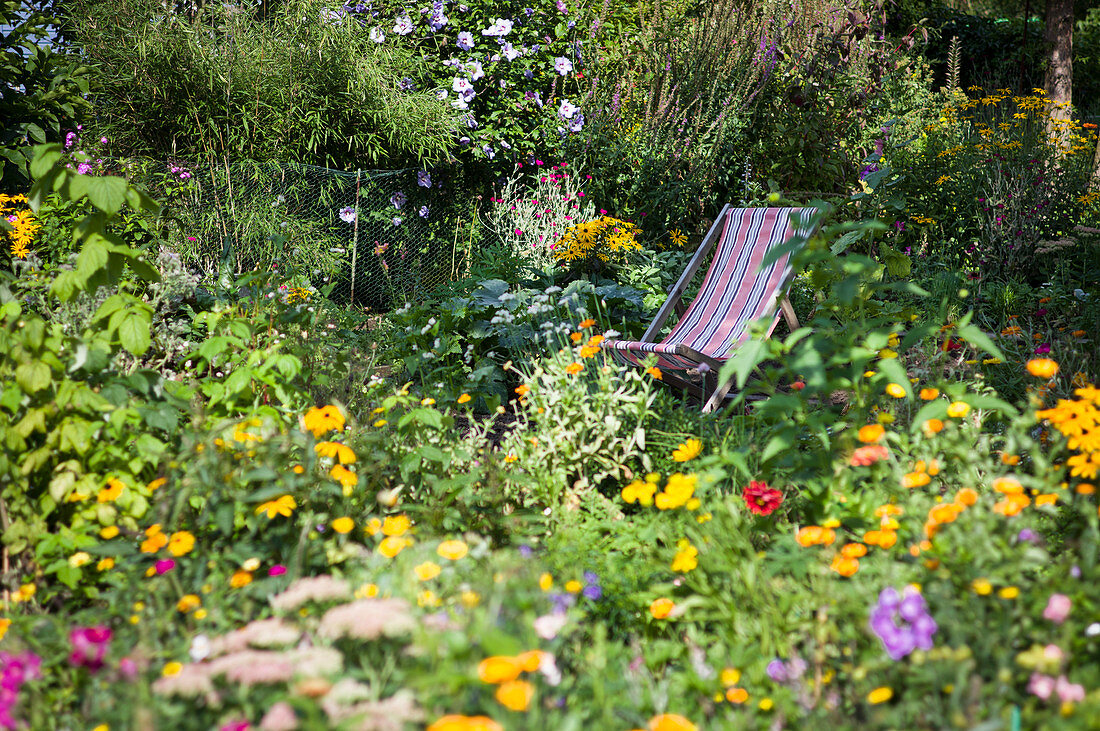 Deck Chair Between Flowers In The Cottage Garden