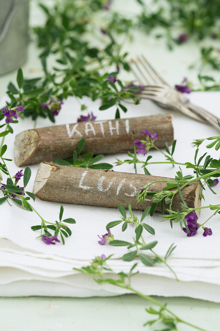 Haselnuss-Holz als Namensschild mit Blauer Luzerne (Medicago sativa)