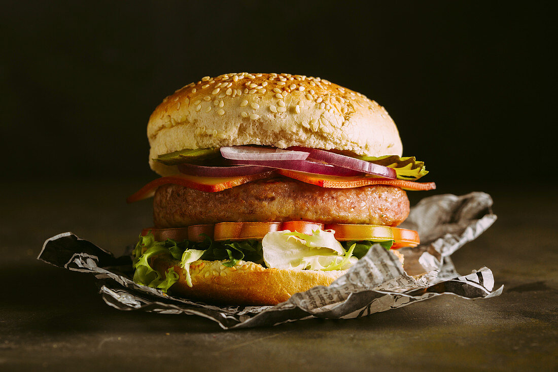 Gourmet burger with chicken meat, cheese, tomato, lettuce and onion with fries