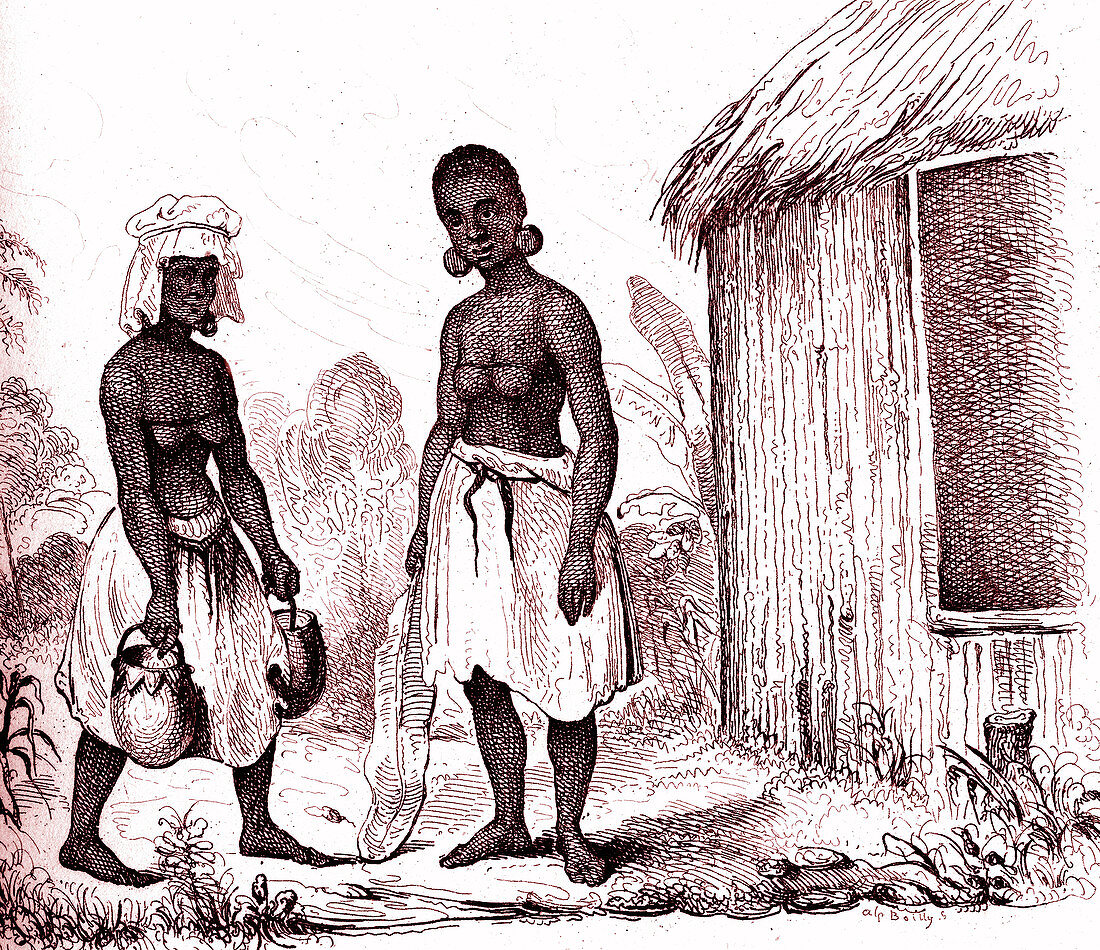 Solomon Islands women, 19th century