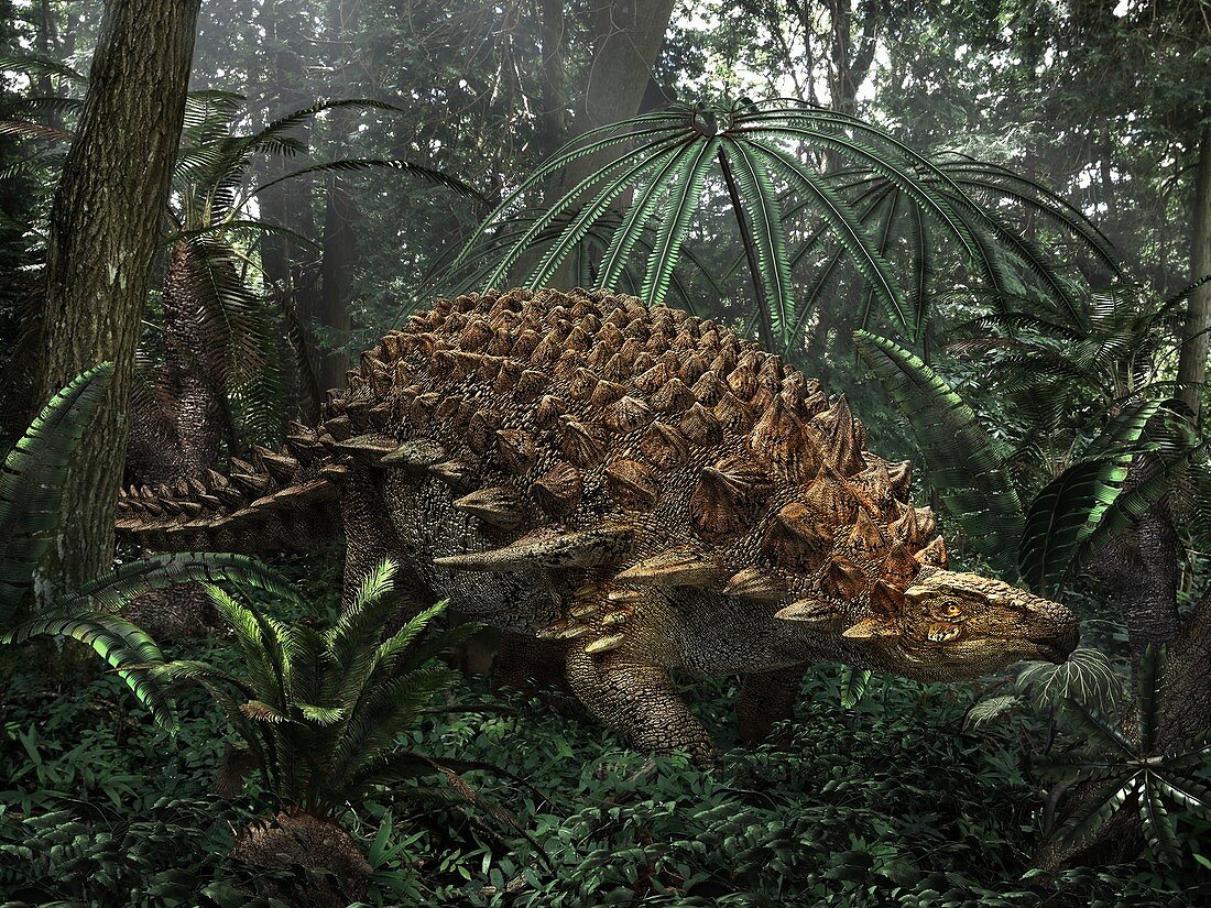 Borealopelta ankylosaur dinosaur, illustration