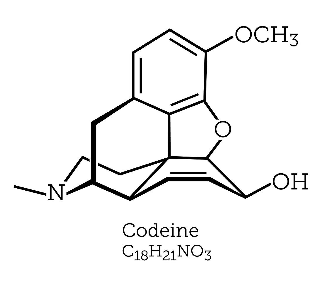 Codeine opioid molecule