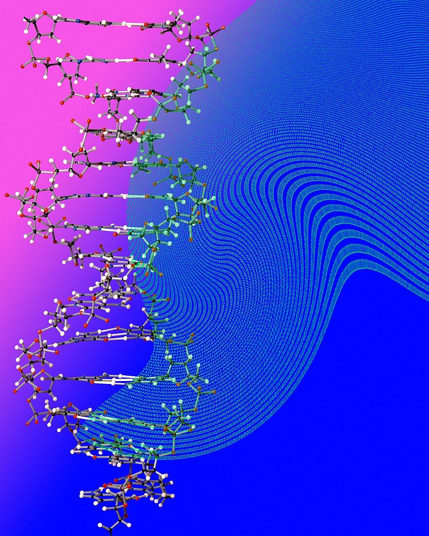 DNA storage, conceptual image