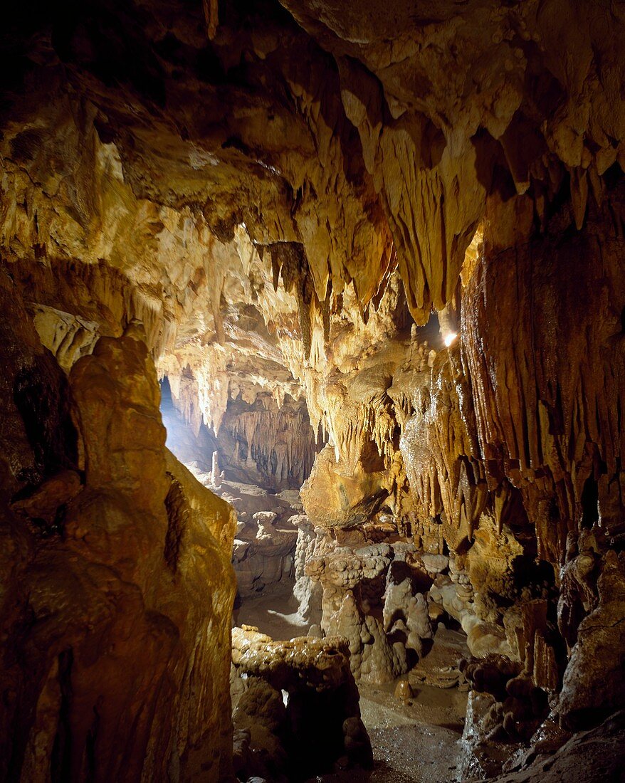 Stalactites, Toirano caves, Liguria, Italy