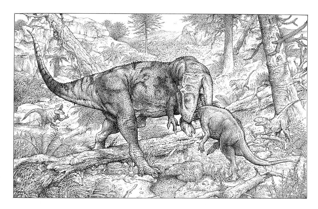 Allosaurus hunting, illustration