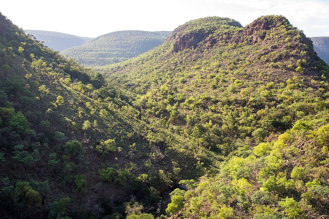 Waterberg mountain range, South Africa