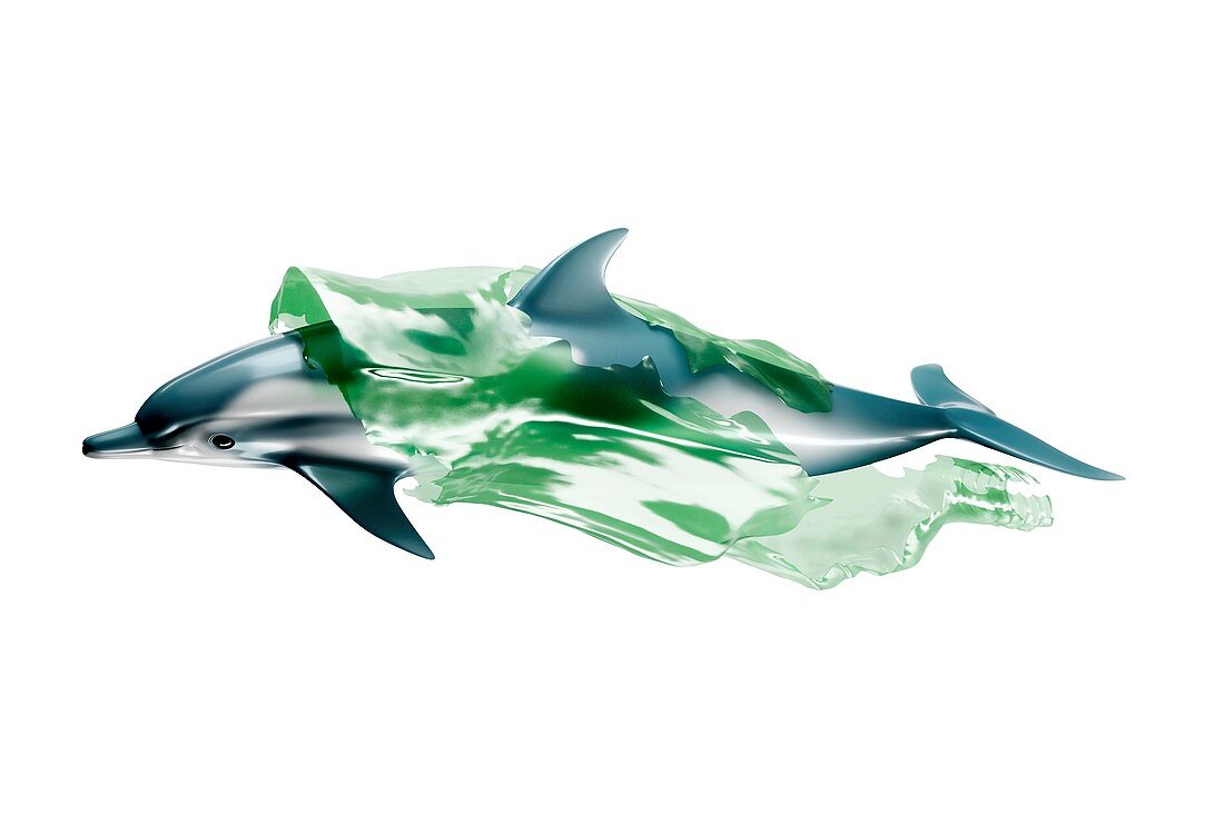 Plastic waste entangled with a dolphin, illustration
