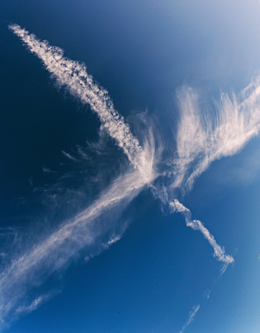 Aircraft contrails and cirrus clouds
