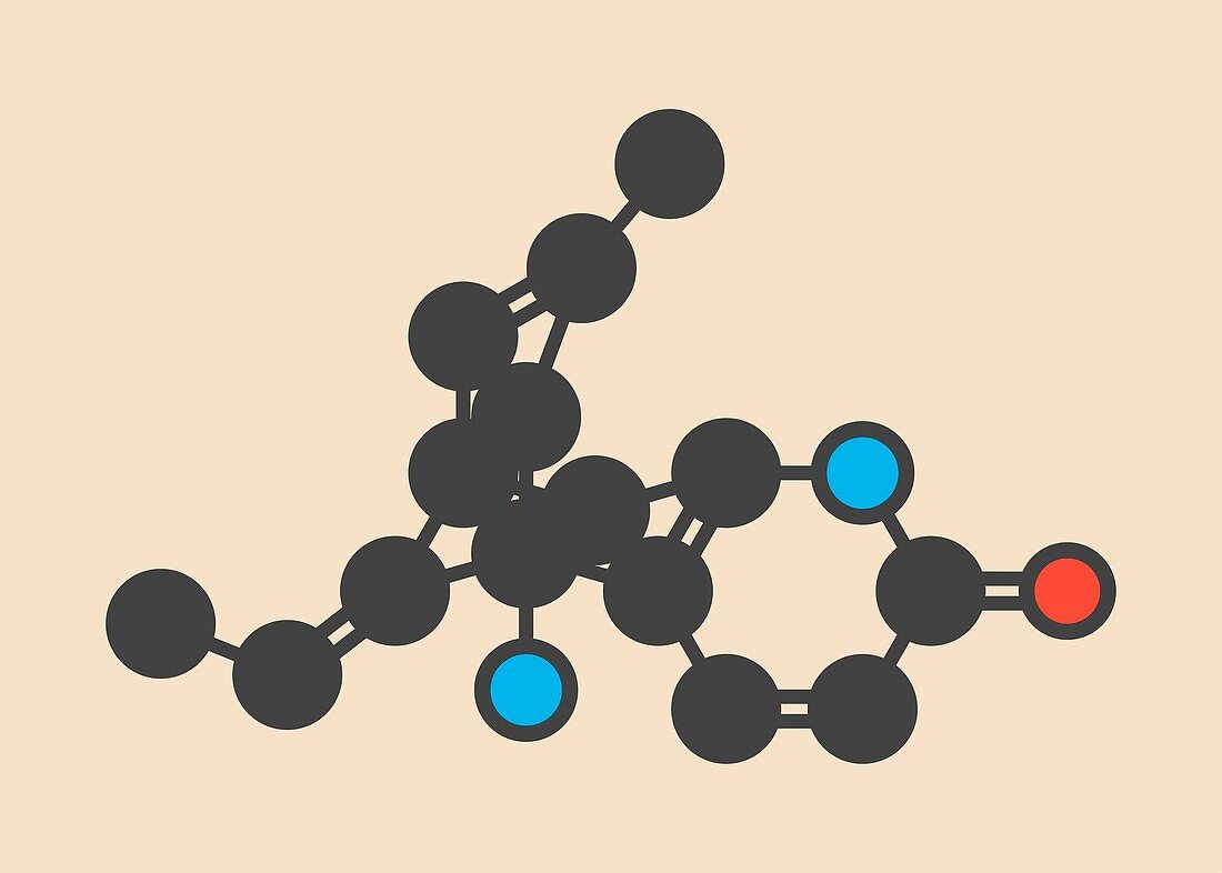 Huperzine A alkaloid molecule