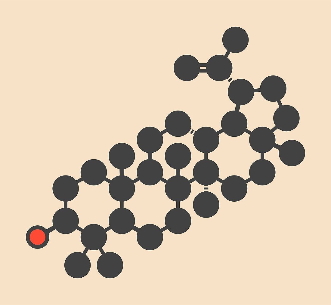 Lupeol drug molecule