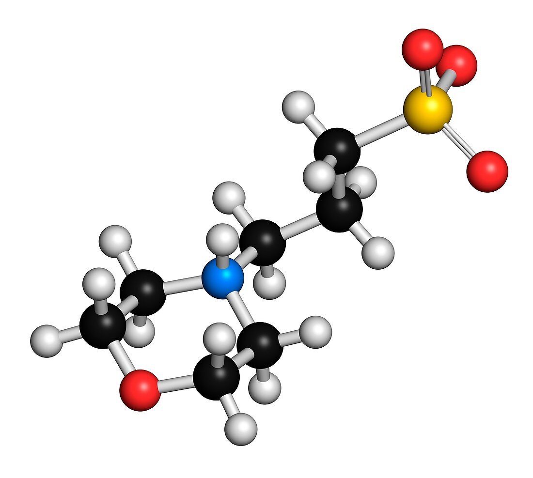 MOPS buffering agent molecule