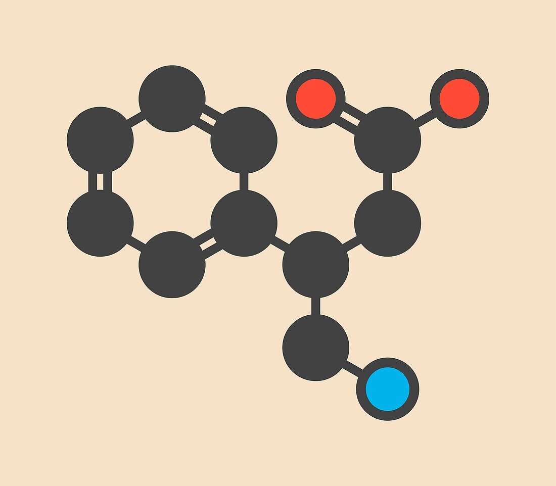 Phenibut anxiolytic and sedative drug molecule