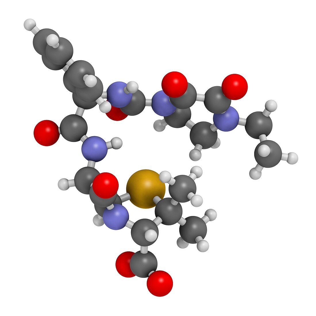 Piperacillin antibiotic drug molecule