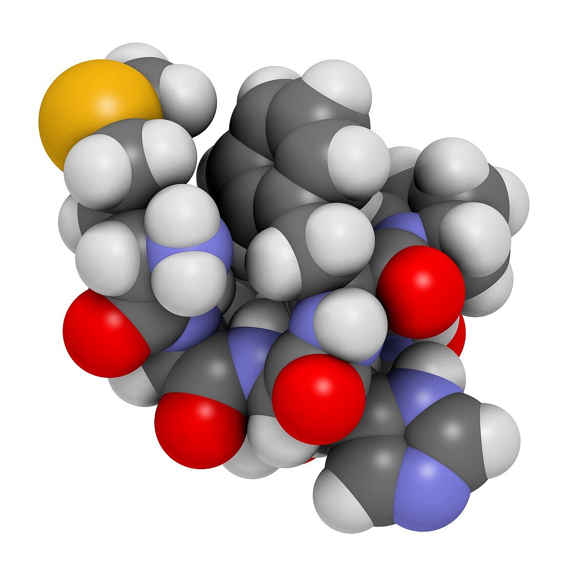 Semax peptide drug molecule