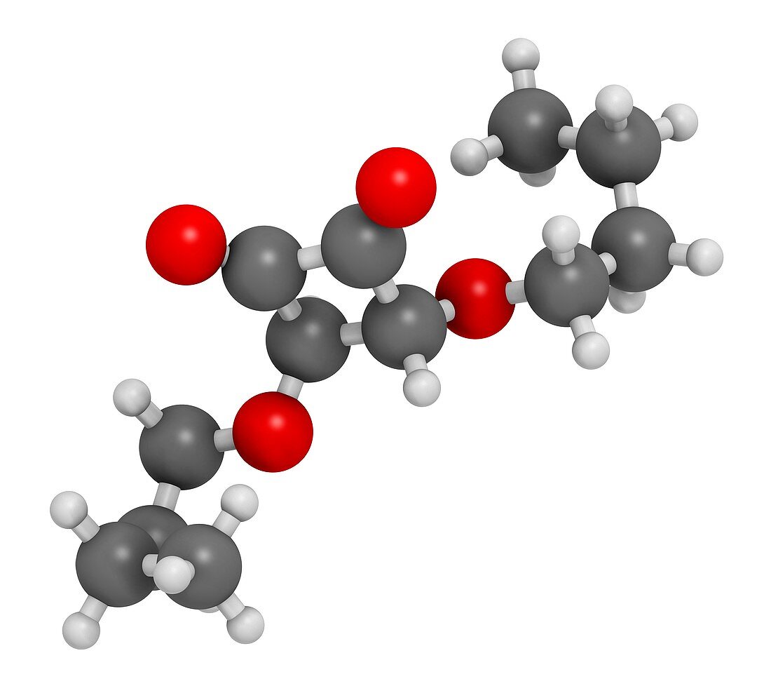 Squaric acid dibutyl ester drug molecule