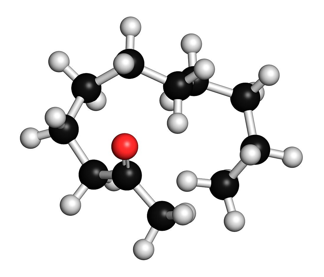 Methyl nonyl ketone insect repellent molecule