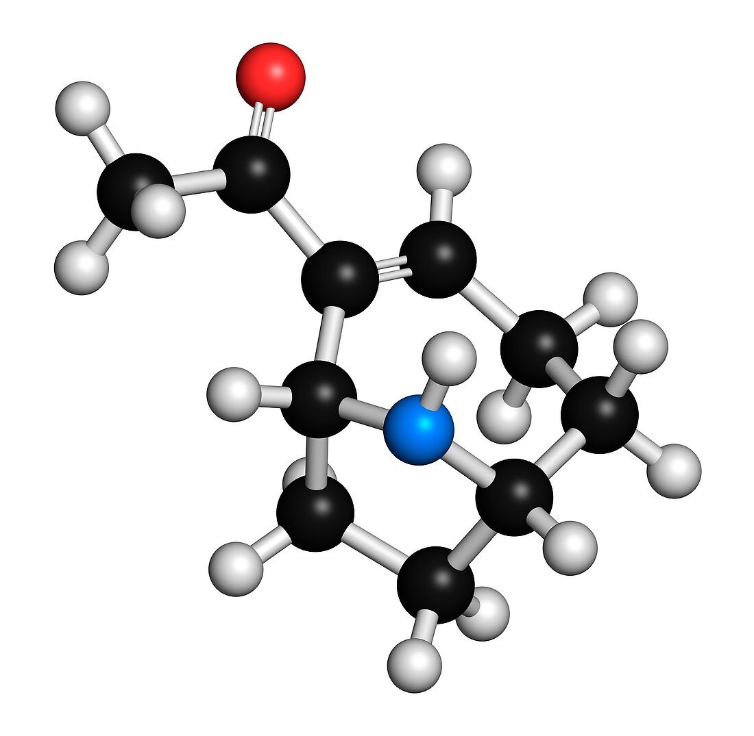 Anatoxin molecule