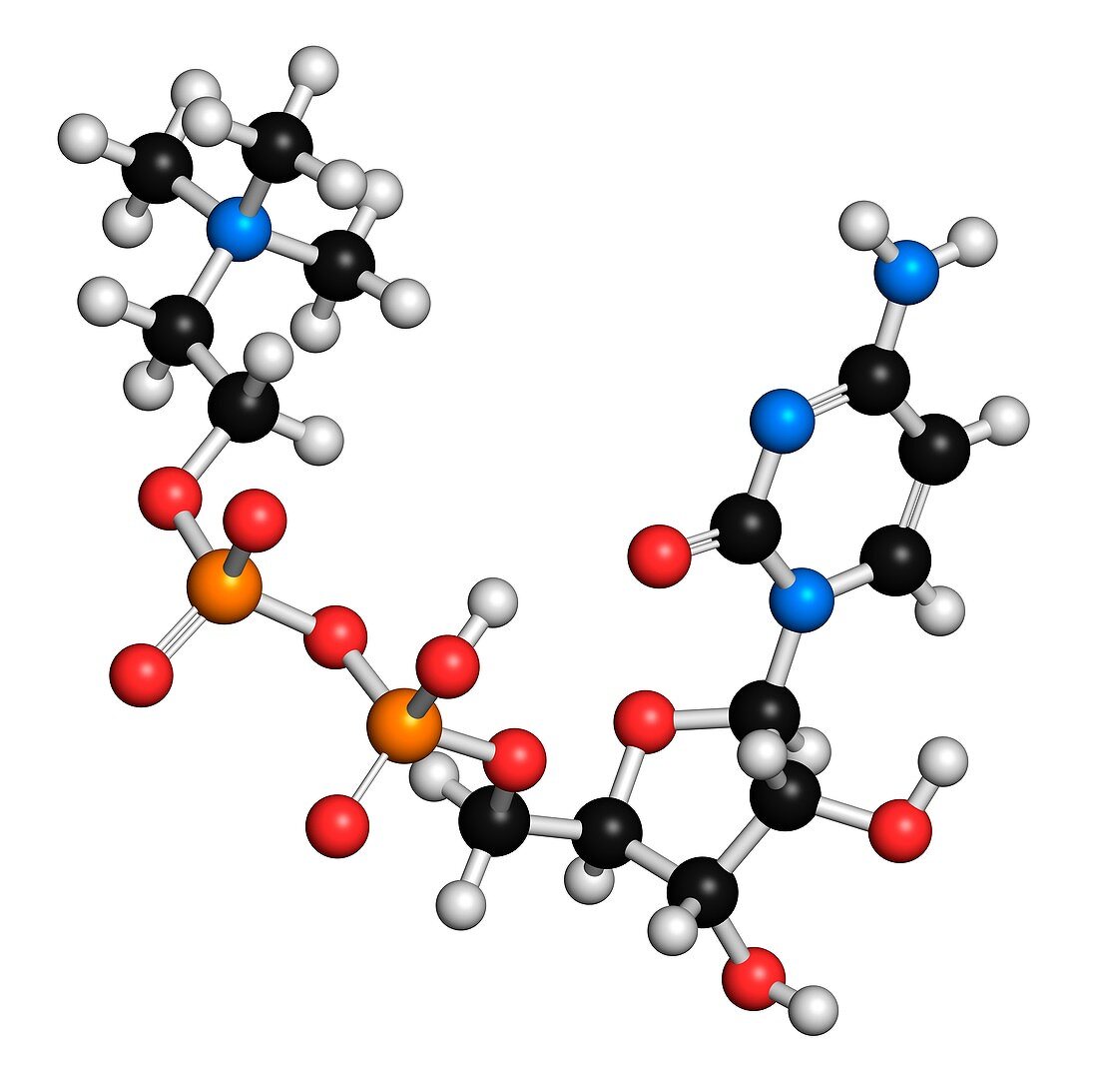 Citicoline molecule