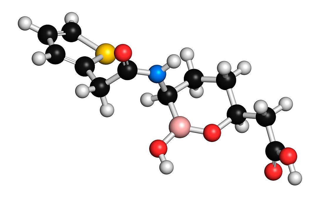 Vaborbactam drug molecule