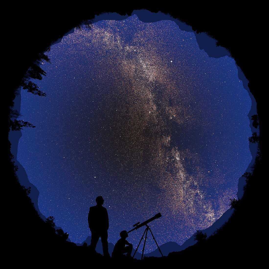 360 degree night sky, illustration