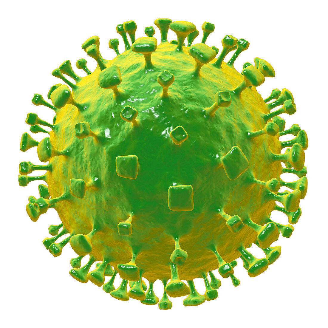Nipah virus particle, illustration
