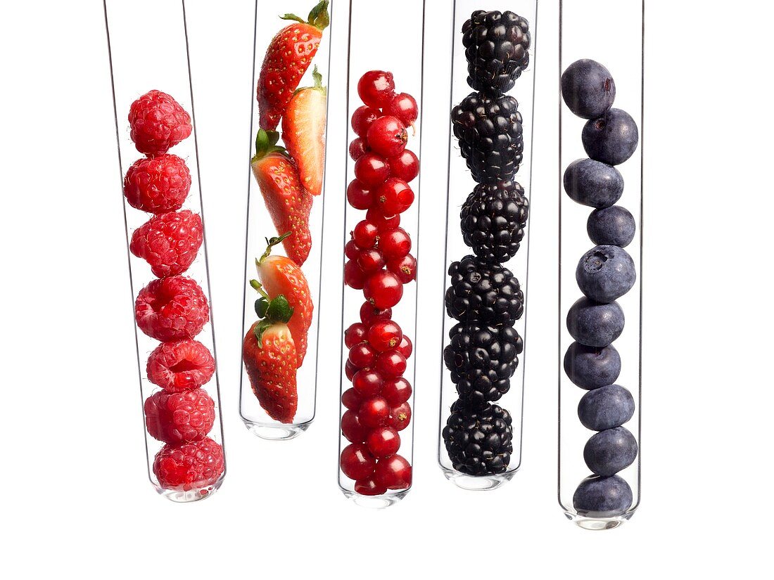 Berries in test tubes