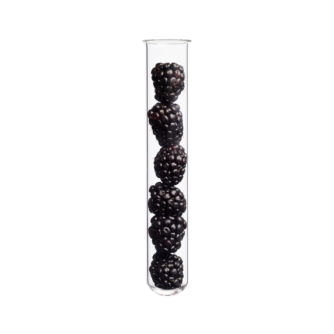Blackberries in test tube