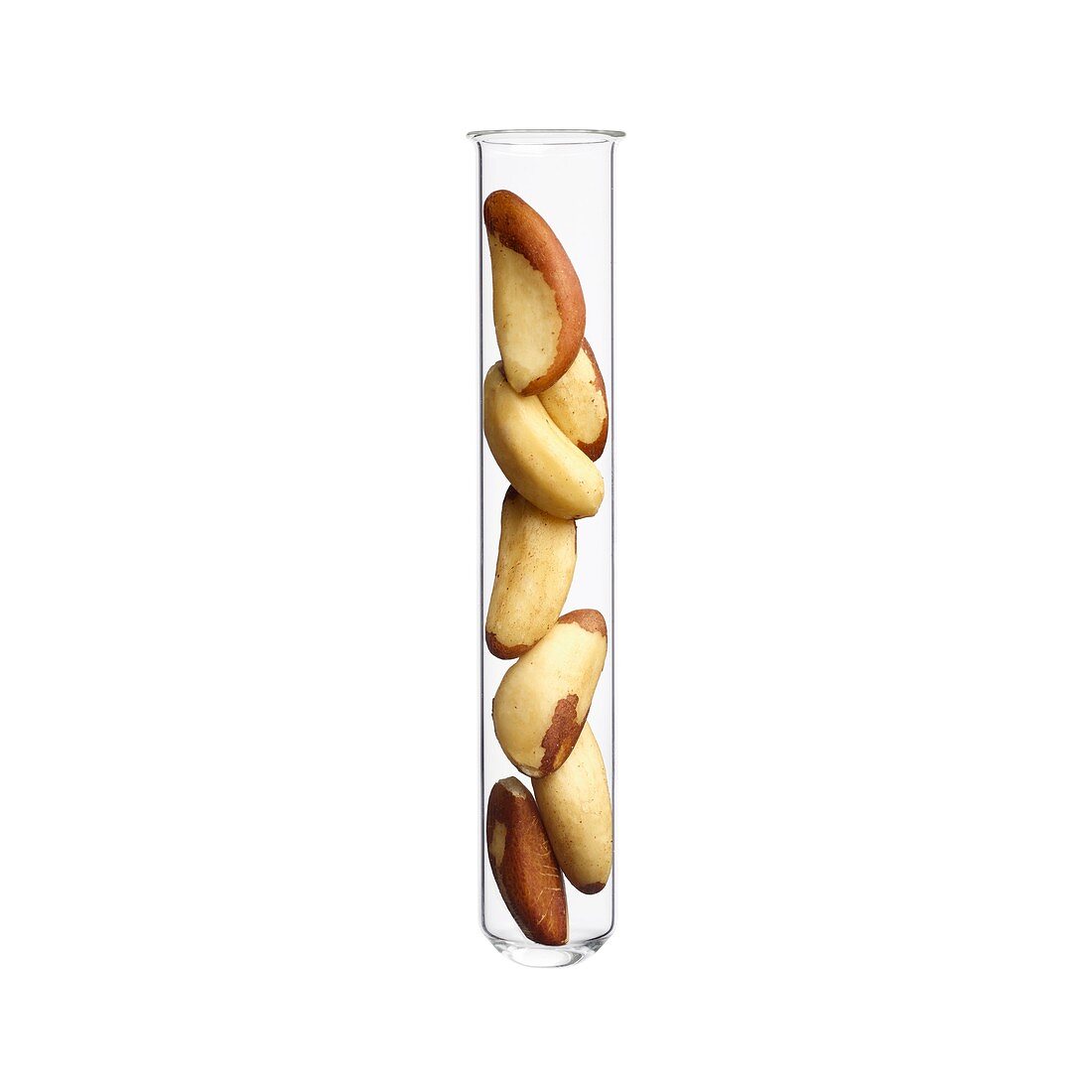 Brazil nuts in test tube