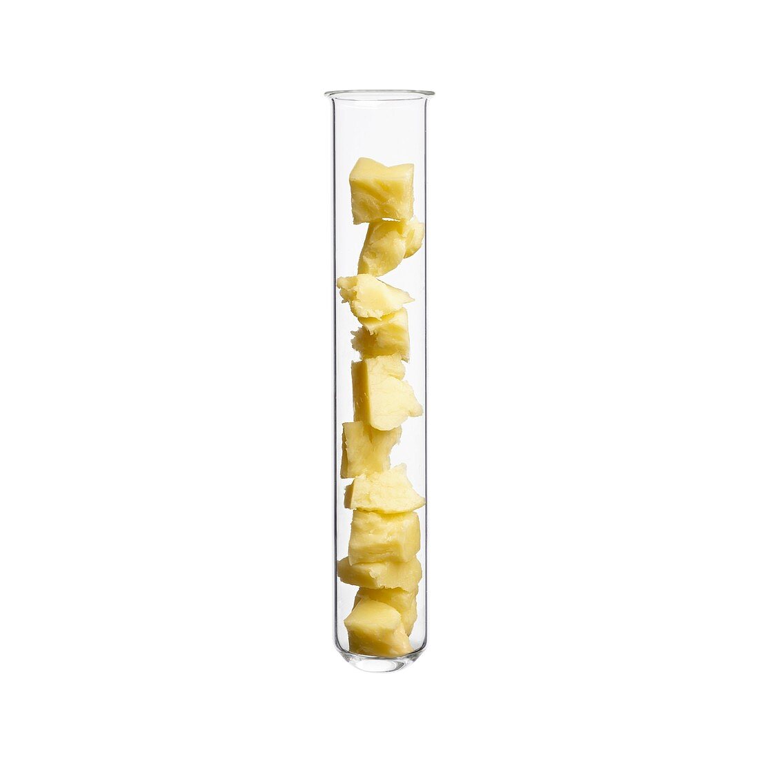 Cheese in test tube