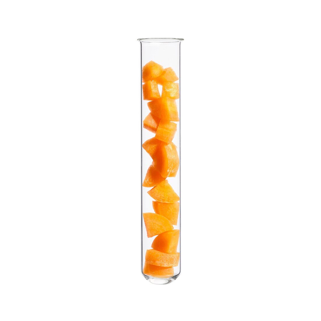 Carrot in test tube