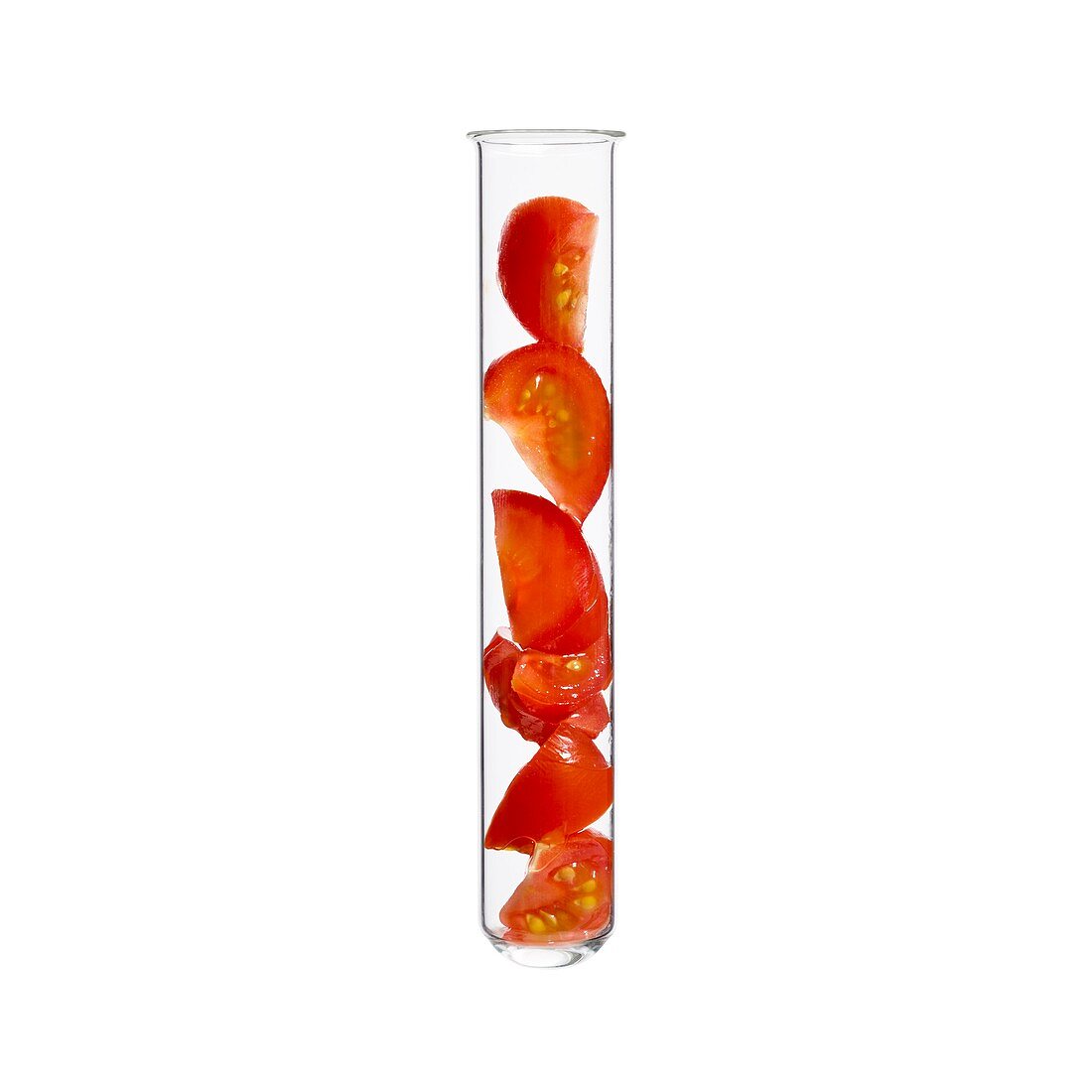 Tomato in test tube