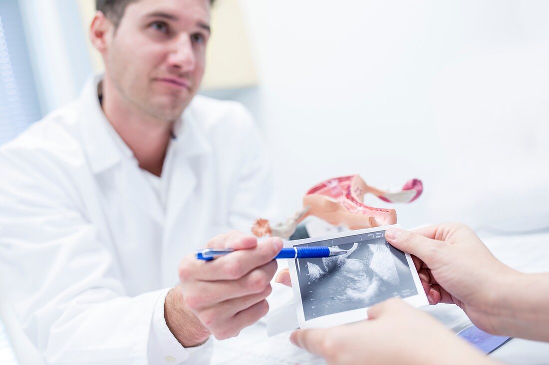 Fertility clinic consultation