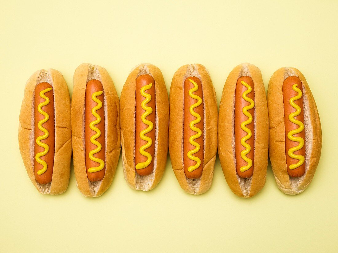 Hot dogs against a plain background