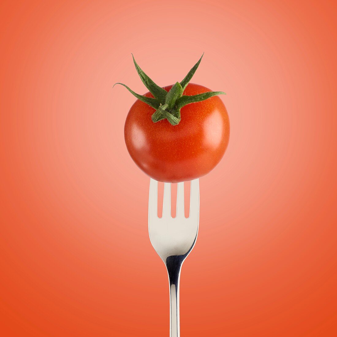 Tomato on a fork